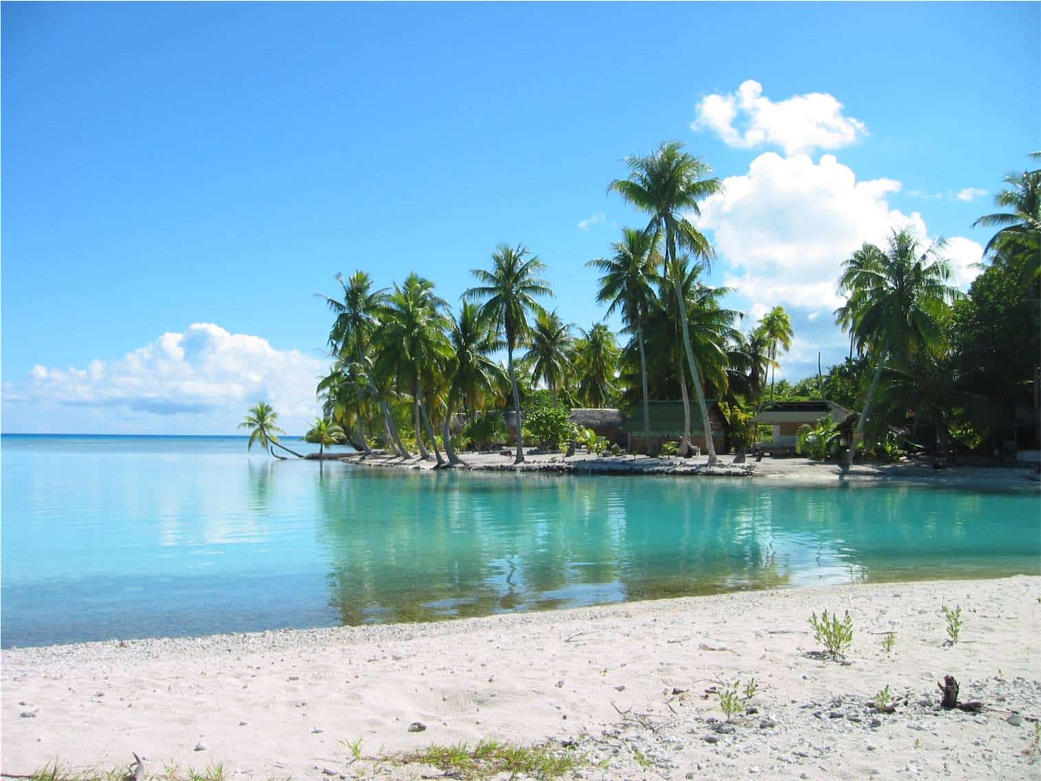 Lagon vert de Rangiroa