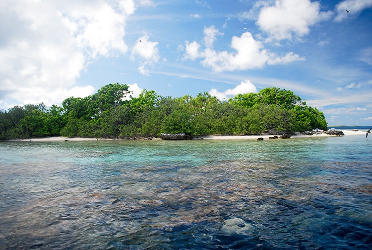 Motu aux oiseaux de Aratika © Tahiti Heritage