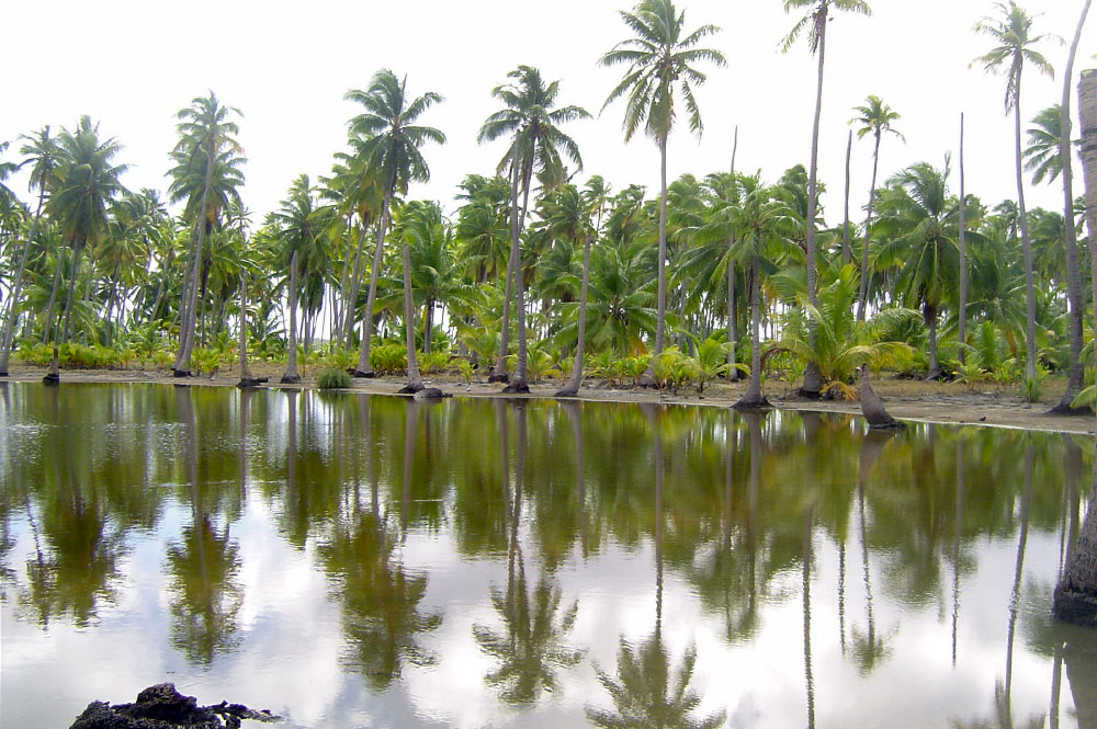 Mare à kopara de Fangatau