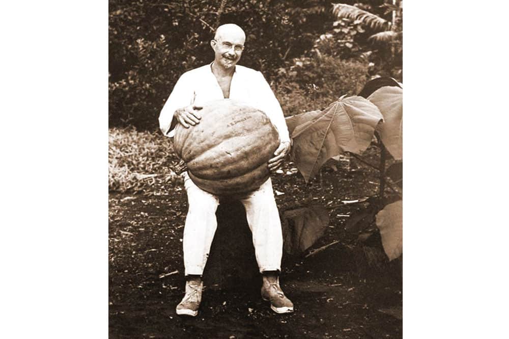 Harrison W Smith, en avril 1928 avec une citrouille de 34,8 kg. Photo Musée Norman Hall