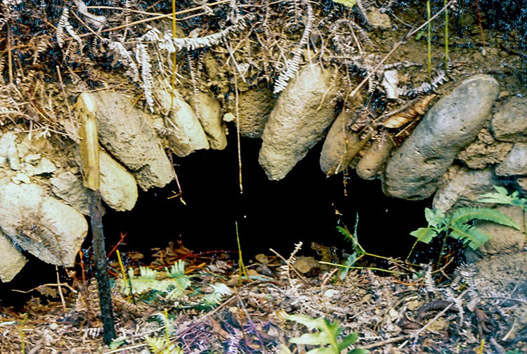 Four du fort de Tapahi, à Mahina en 1990