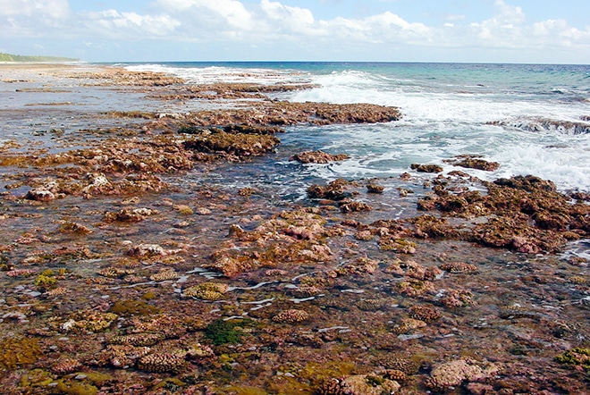 Beach rock de la cote Nord de Mataiva