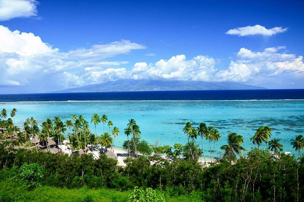 Belvédère To’a tea de Moorea. Photo CyrilaTahiti