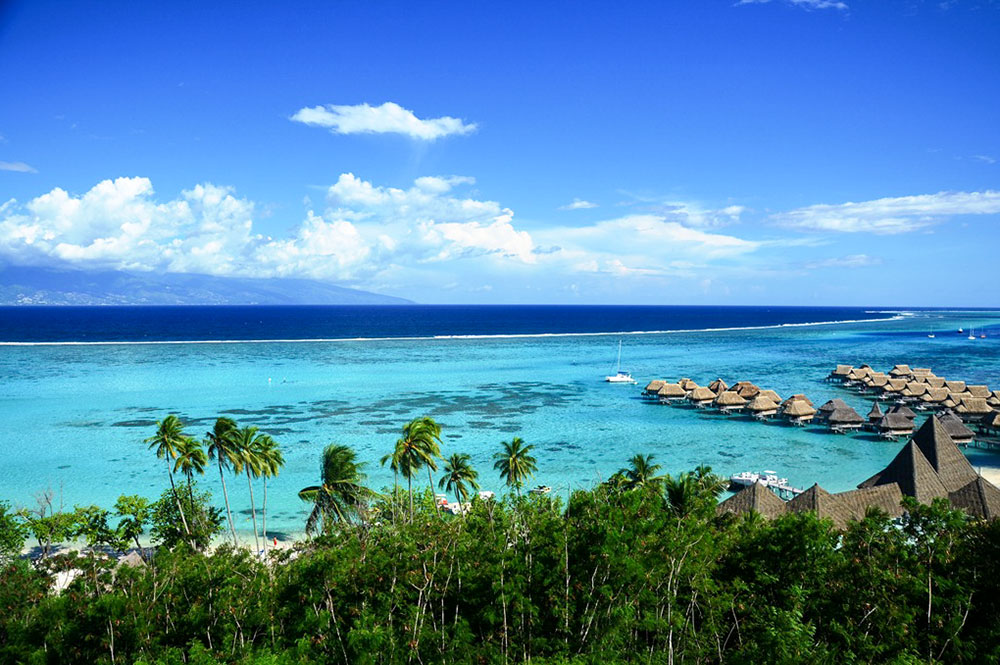 Belvédère To’a tea de Moorea. Photo CyrilaTahiti