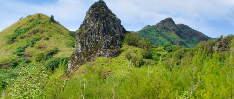 Dent de Pahatu à Tubuai