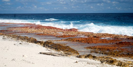 Plage nord d'Aratika