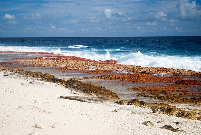 Plage nord d'Aratika