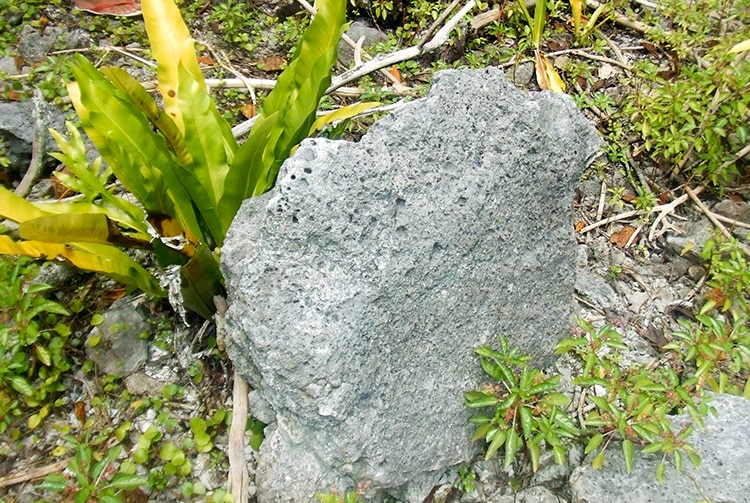 Marae Vaimeho de Aratika