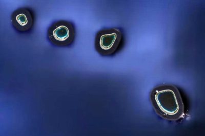 Les quatre atolls du groupe Acteon, archipel des Gambier