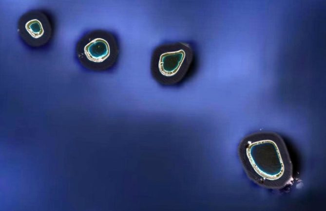Les quatre atolls du groupe Acteon, archipel des Gambier