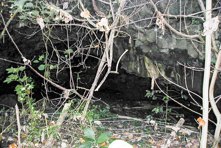 Grotte Ana o Tiki d'Aukena, Gambier © Tahiti Heritage