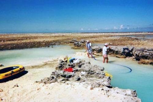 Recherche du trésor des Tuamotu sur l'atoll de Tepoto sud en 1993
