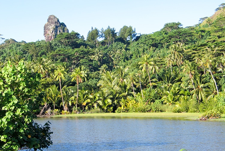 Sexe de Hiro, à Huahine