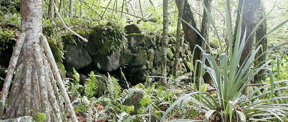 Plateforme de Uma, à Mangareva