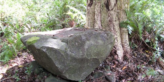Pierre tambour de Rikitea © Tahiti Heritage