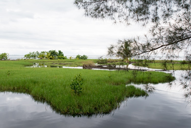 Motu Orie, à Mataiea, Tahiti © Tahiti Heritage