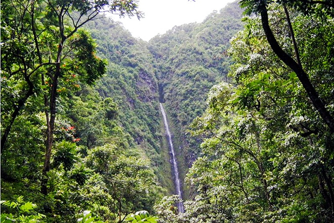 Cascade de la vallée de Matatia à Punaauia