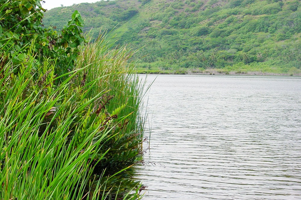 Lac Temae à Moorea