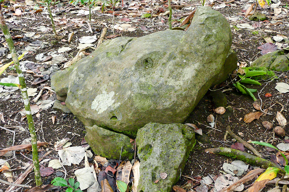 Tortue pétrifiée de Matao, Moorea