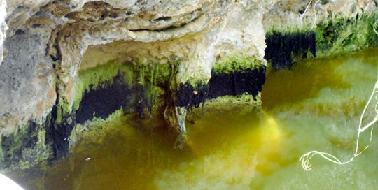 Bassin de la reine à Niau, Tuamotu