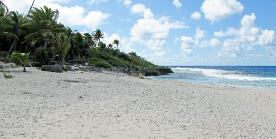 Site de ponte des tortues marines à Niau