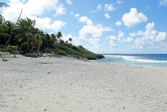 Site de ponte des tortues marines à Niau