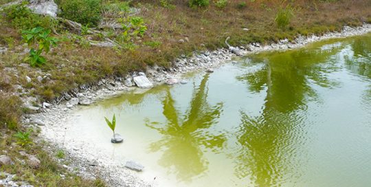 Lagon de Niau, Tuamotu