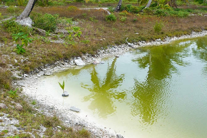 Lagon de Niau, Tuamotu