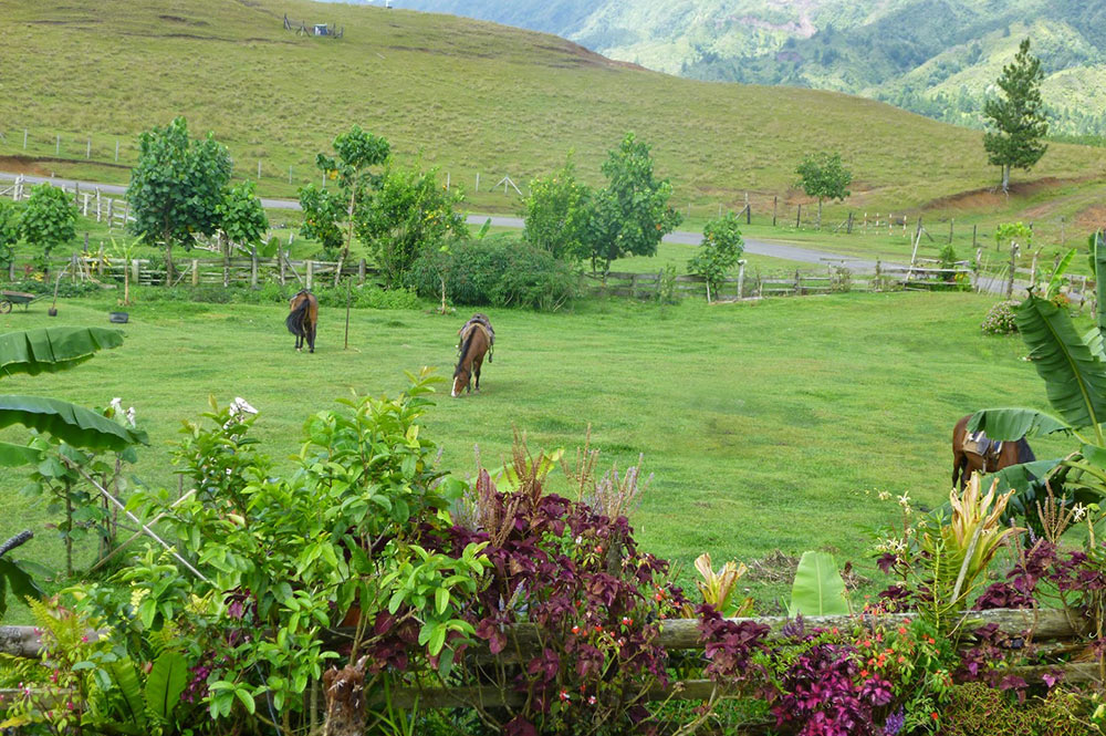 Ranch du Plateau de Toovii à Nuku Hiva