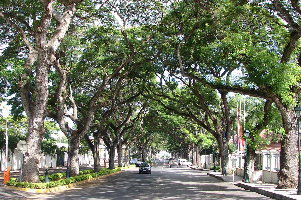 Avenue Pouvanaa a Oopa à Papeete en 2014