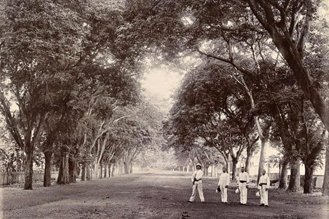 Avenue Saint Amélie à Papeete en 1900