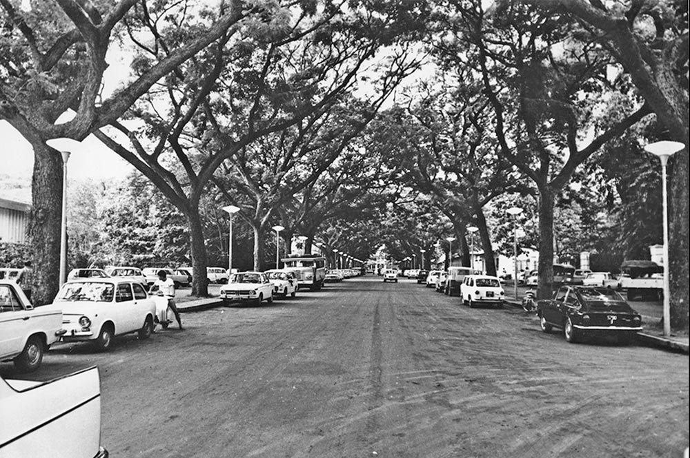Avenue Bruat à Papeete en 1960