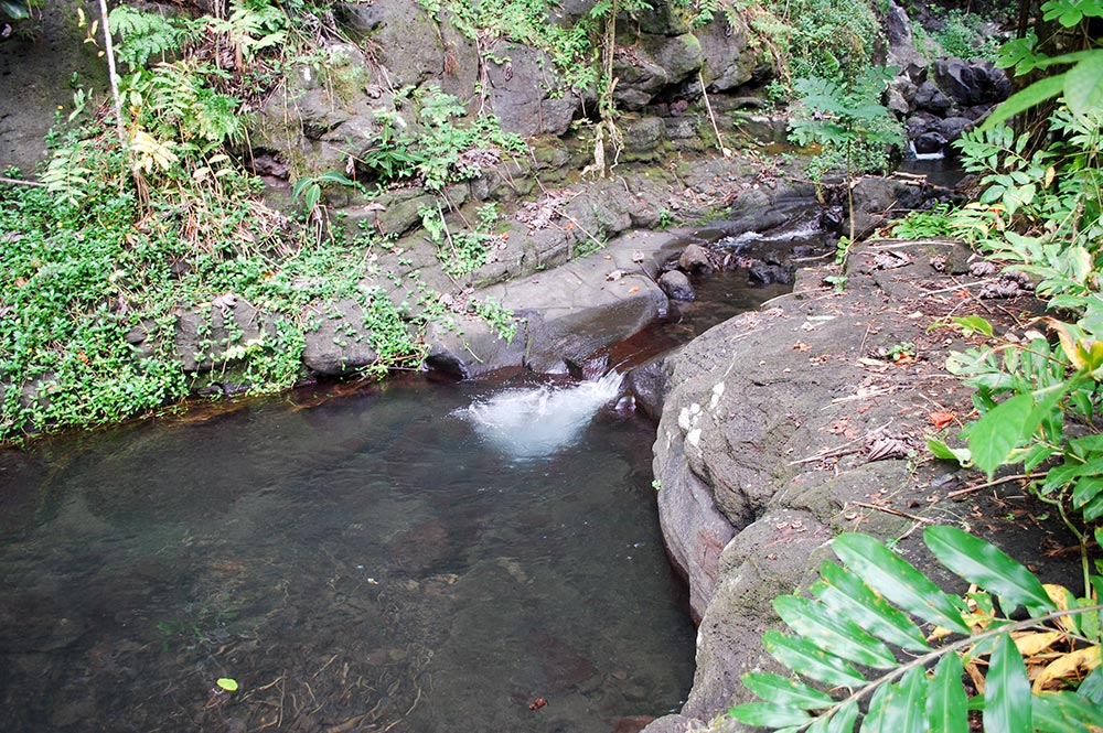 Bassin de Tahiri vahine, vallée de Hamuta