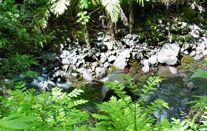 Ofai tere, les pierres qui bougent de la Nahoata