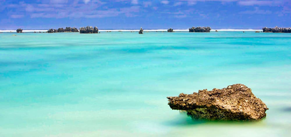 Ile aux récifs, les feo de Rangiroa. Photo Brigitte Bourger