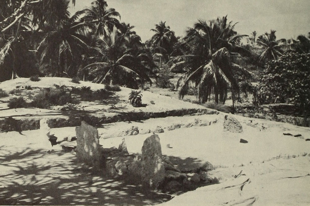 Le marae Maherehonae de Rangiroa en 1951