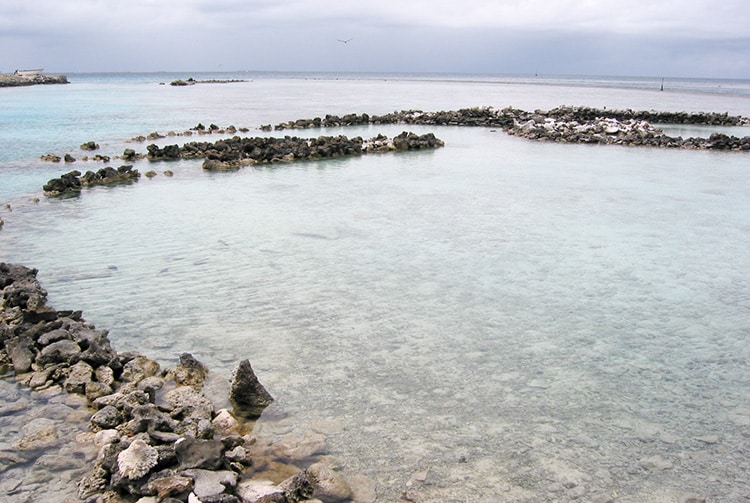 Parc à poissons d'Araka