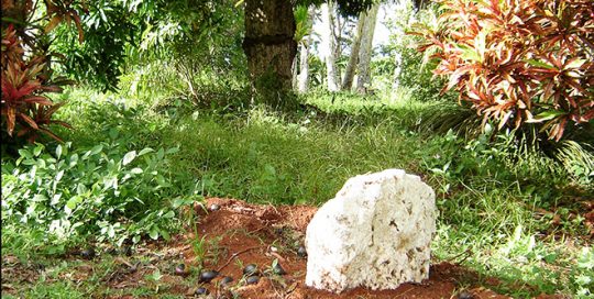 Pito Oromana, nombril de Rimatara