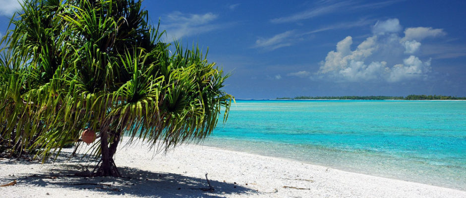 Pandanus devant le lagon de Tahanea (Tuamotu) © Tahiti Heritage