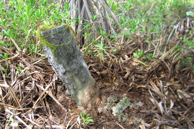 Tombe de vahine Mahuta à Tahanea