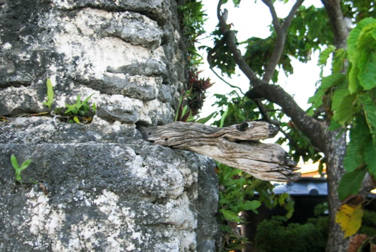 Vieux phare de Takaroa, détail