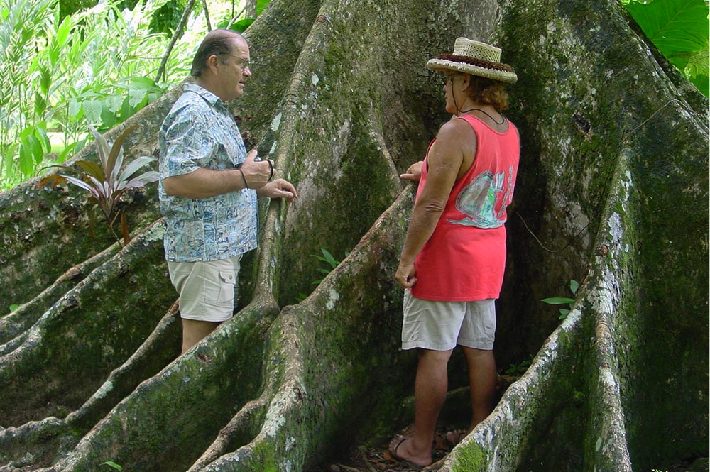 Dick Johnson et Talo Pambrun au pied du Parkia du jardin botanique Harrison Smith 