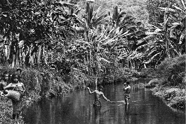 Rivière de Vaitepiha à Tautira, Tahiti