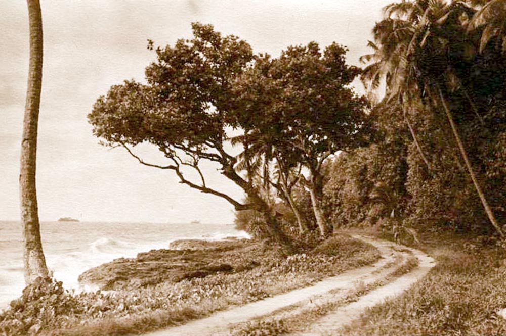 La route de ceinture avant le trou du souffleur Arahoho, à Tiarei, Tahiti en 1936. Photo W. Crake