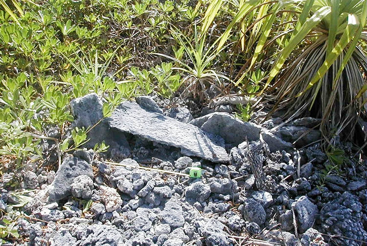 Marae Tu'ou'a de Tikehau