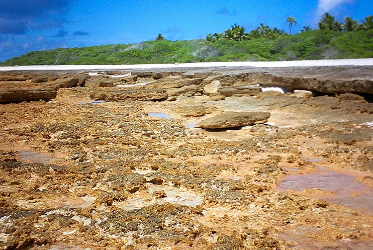 Platier de l'atoll de Teiki, Tuamotu