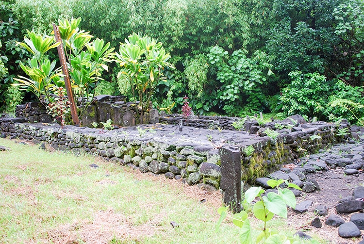 Marae Vaiotea, dans la basse vallée de Papenoo en 2009 © Tahiti Heritage