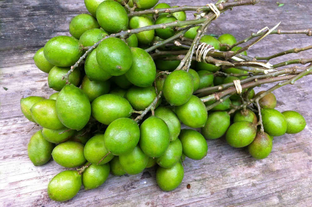 Quenette de Tahiti, Mamoncillo, Guinep, Quenepa