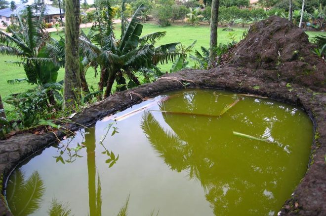 Bain de la Reine, Po’atu o Kame, Rouru, Mangareva. Photo Vuillemoz