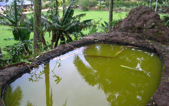 Bain de la Reine, Po’atu o Kame, Rouru, Mangareva. Photo Vuillemoz